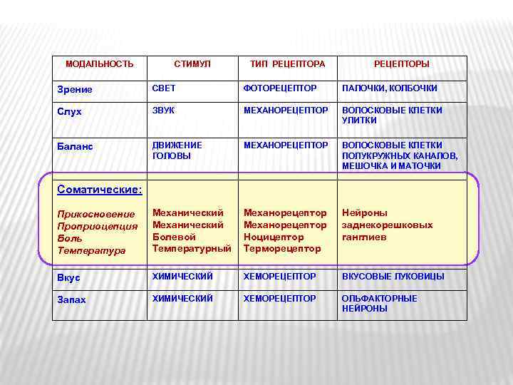 МОДАЛЬНОСТЬ СТИМУЛ ТИП РЕЦЕПТОРА РЕЦЕПТОРЫ Зрение СВЕТ ФОТОРЕЦЕПТОР ПАЛОЧКИ, КОЛБОЧКИ Слух ЗВУК МЕХАНОРЕЦЕПТОР ВОЛОСКОВЫЕ