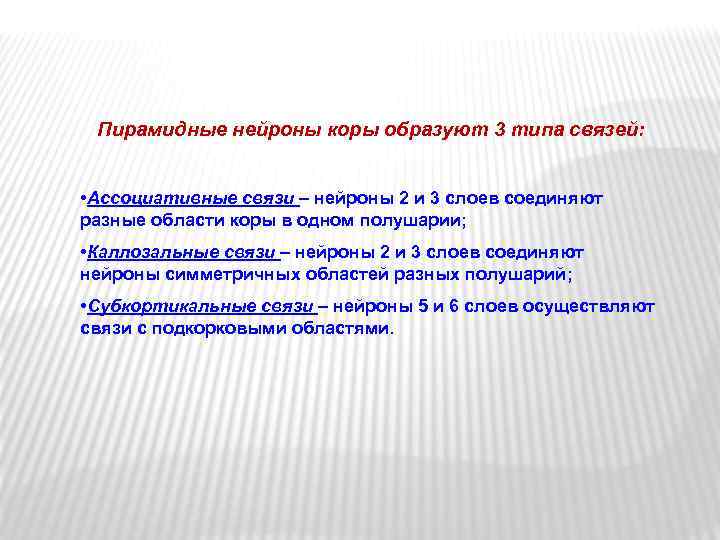 Пирамидные нейроны коры образуют 3 типа связей: • Ассоциативные связи – нейроны 2 и