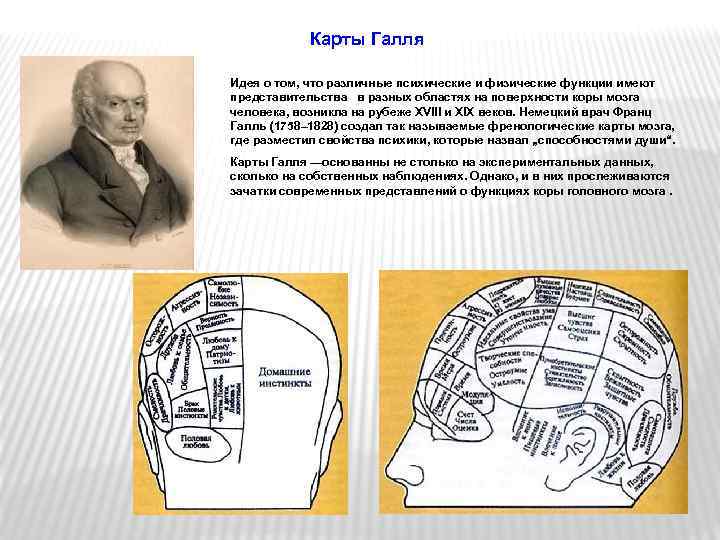 Френологическая карта галля