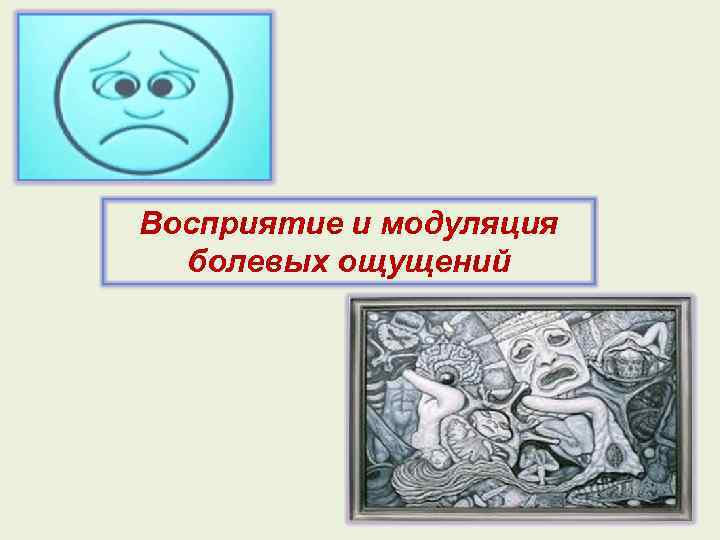 Восприятие и модуляция болевых ощущений 