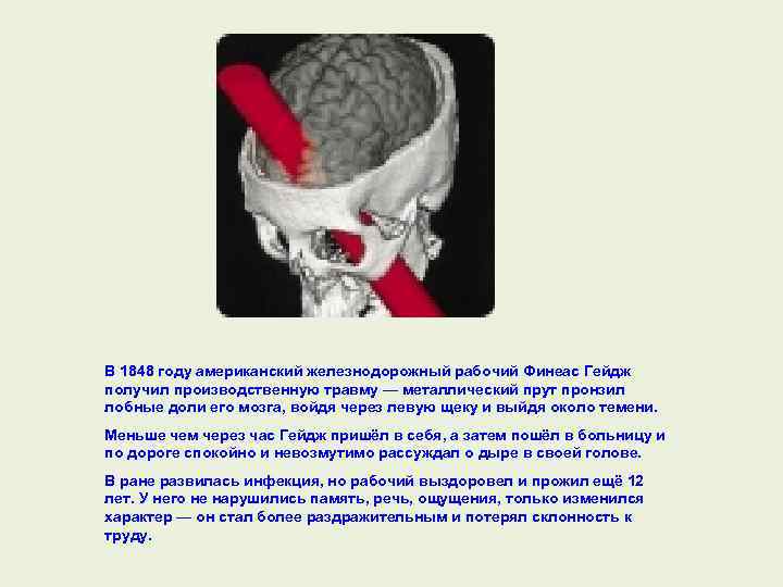В 1848 году американский железнодорожный рабочий Финеас Гейдж получил производственную травму — металлический прут