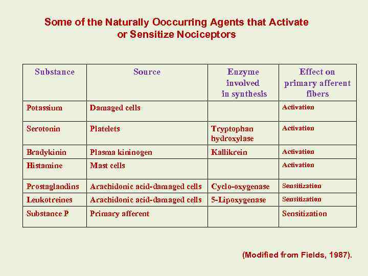 Some of the Naturally Оoccurring Agents that Activate or Sensitize Nociceptors Substance Source Enzyme
