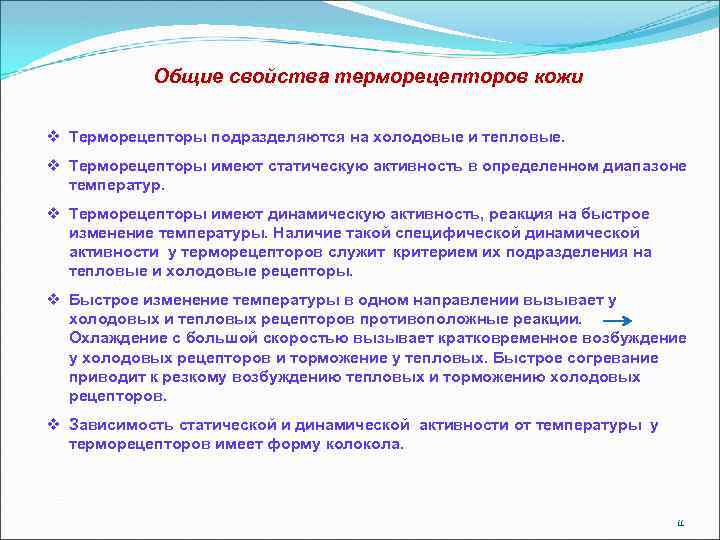 Общие свойства терморецепторов кожи v Терморецепторы подразделяются на холодовые и тепловые. v Терморецепторы имеют