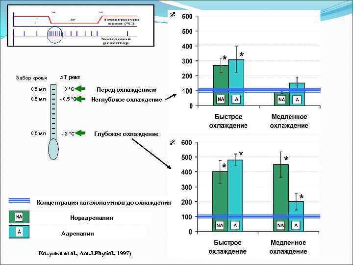 Тест течения. Картирование забора крови схема. Картирование процесса забора крови. Протокол картирования склада. Что такое картирование в фармации.