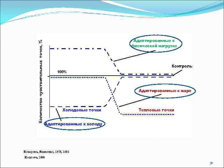 Количество чувствительных точек, % Адаптированные к физической нагрузке Контроль 100% Адаптированные к жаре Холодовые