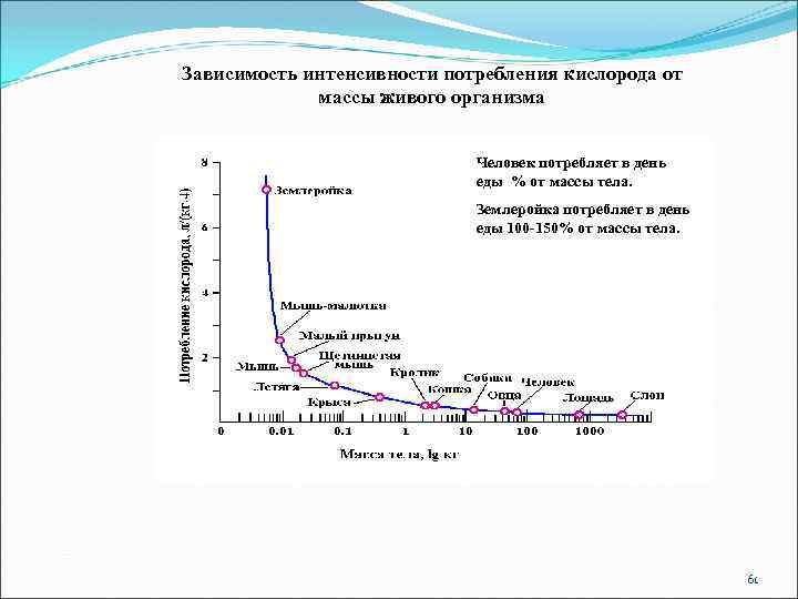 Зависимость интенсивности потребления кислорода от массы живого организма Человек потребляет в день еды %