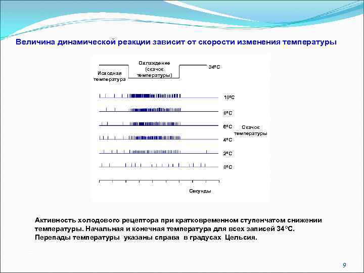 От чего зависит реакция. Температурная рецепция. При снижении температуры воздуха активность холодовых рецепторов:. Динамические реакции терморецепторов. Исходная температура это.