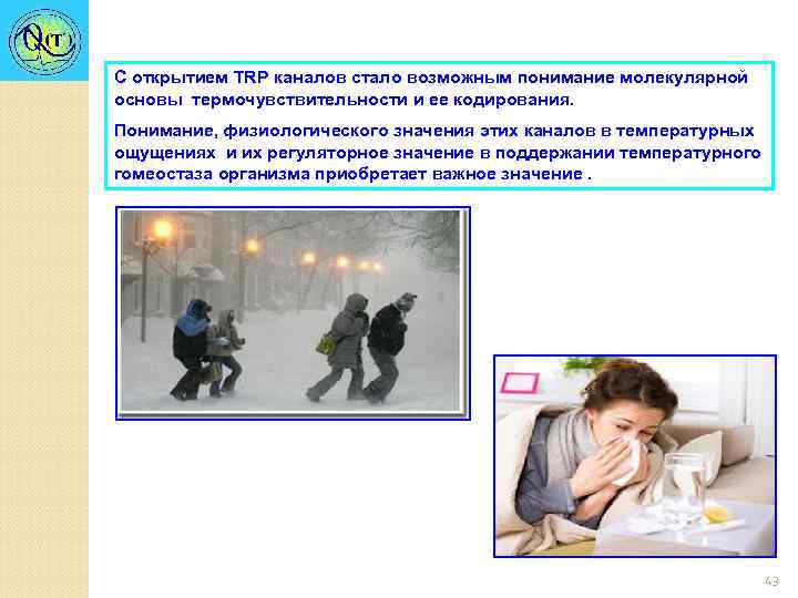 С открытием TRP каналов стало возможным понимание молекулярной основы термочувствительности и ее кодирования. Понимание,