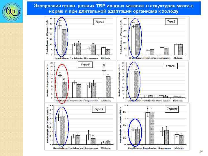 Экспрессия генов разных TRP ионных каналов в структурах мозга в норме и при длительной