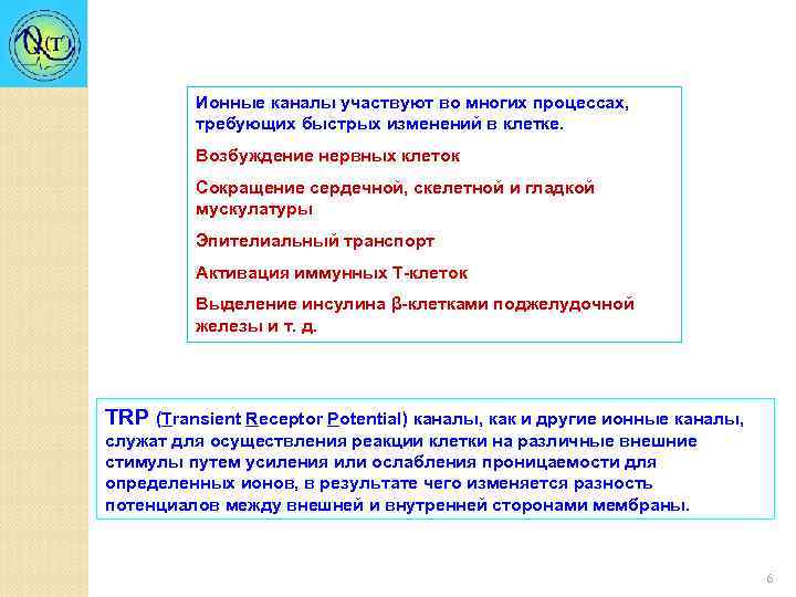 Ионные каналы участвуют во многих процессах, требующих быстрых изменений в клетке. Возбуждение нервных клеток