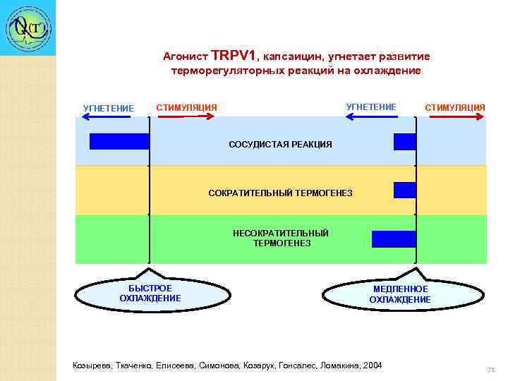 Агонист TRPV 1, капсаицин, угнетает развитие терморегуляторных реакций на охлаждение УГНЕТЕНИЕ CТИМУЛЯЦИЯ СОСУДИСТАЯ РЕАКЦИЯ