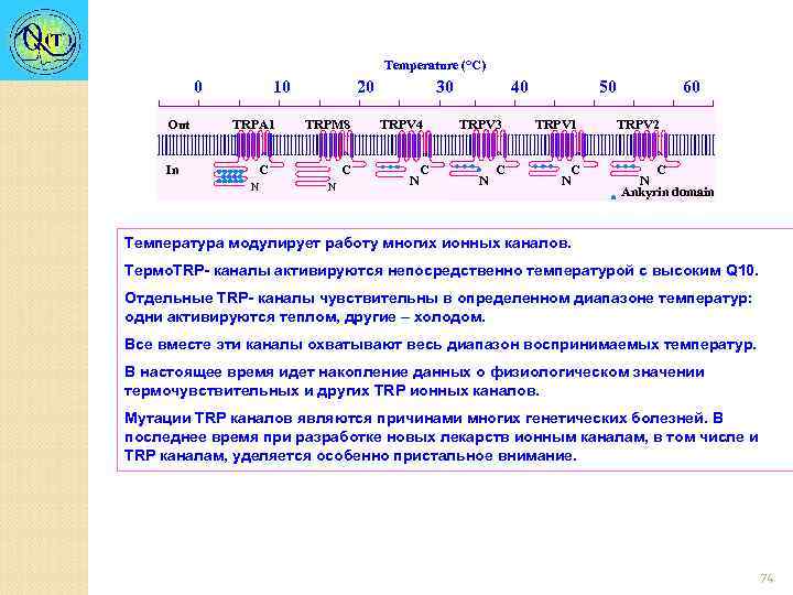 Temperature (°C) 0 Out In 10 TRPA 1 20 TRPM 8 C N 30