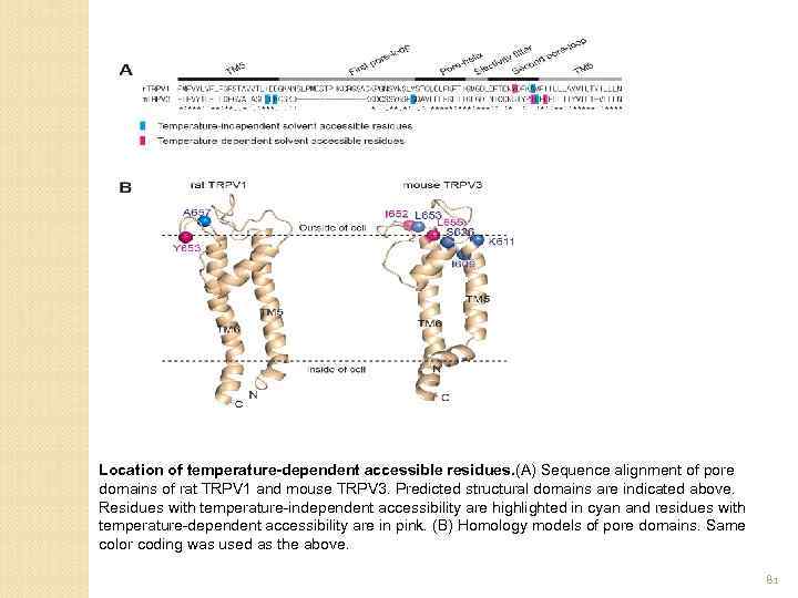 Location of temperature-dependent accessible residues. (A) Sequence alignment of pore domains of rat TRPV