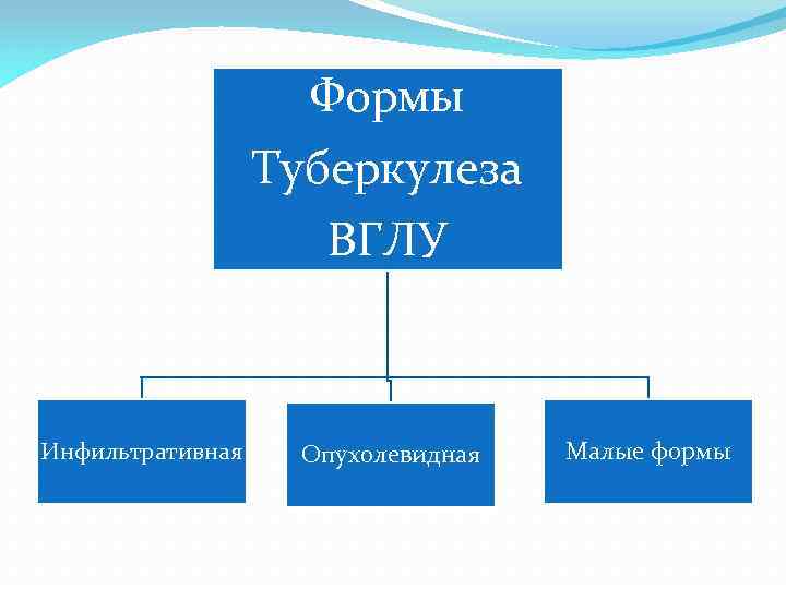 Формы Туберкулеза ВГЛУ Инфильтративная Опухолевидная Малые формы 
