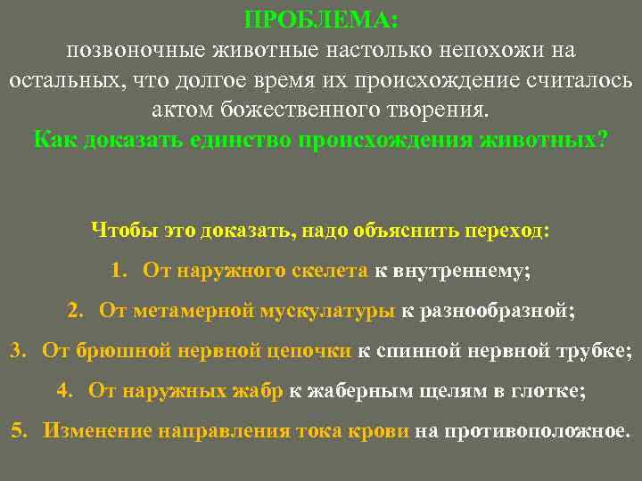 ПРОБЛЕМА: позвоночные животные настолько непохожи на остальных, что долгое время их происхождение считалось актом