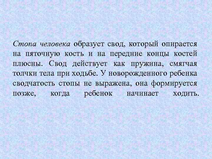 Стопа человека образует свод, который опирается на пяточную кость и на передние концы костей