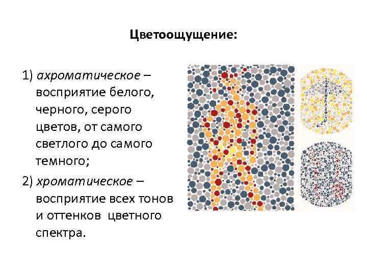 Цветоощущение: 1) ахроматическое – восприятие белого, черного, серого цветов, от самого светлого до самого