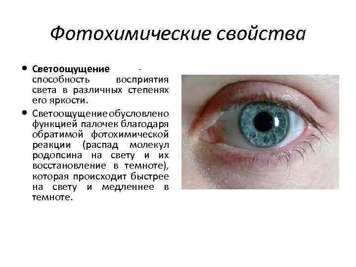 Фотохимические свойства Светоощущение способность восприятия света в различных степенях его яркости. Светоощущение обусловлено функцией