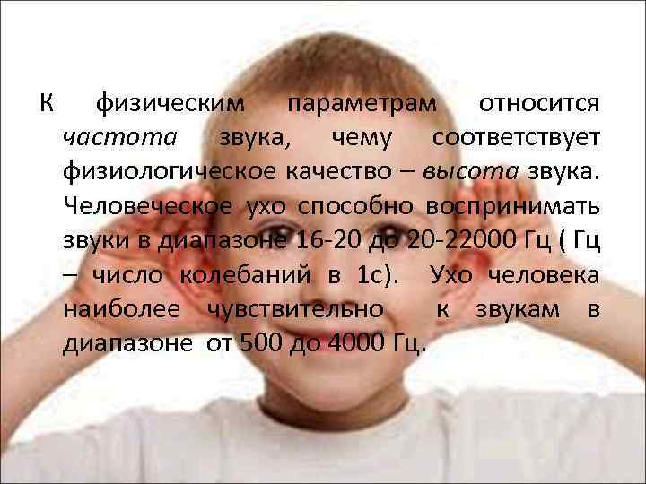 К физическим параметрам относится частота звука, чему соответствует физиологическое качество – высота звука. Человеческое