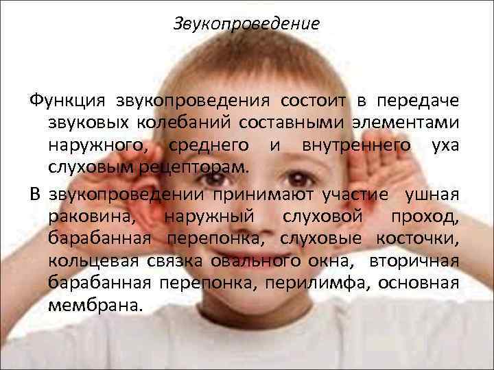 Звукопроведение Функция звукопроведения состоит в передаче звуковых колебаний составными элементами наружного, среднего и внутреннего