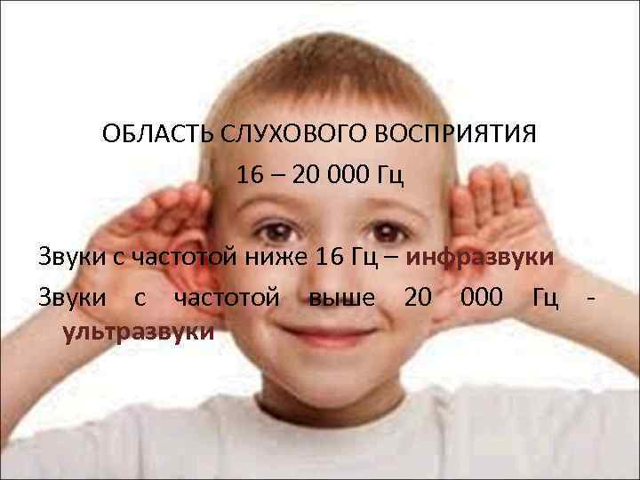 ОБЛАСТЬ СЛУХОВОГО ВОСПРИЯТИЯ 16 – 20 000 Гц Звуки с частотой ниже 16 Гц