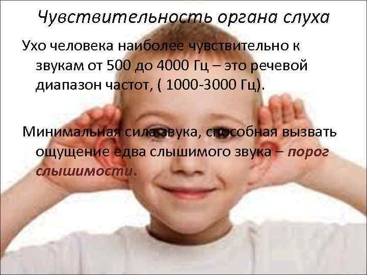 Чувствительность органа слуха Ухо человека наиболее чувствительно к звукам от 500 до 4000 Гц