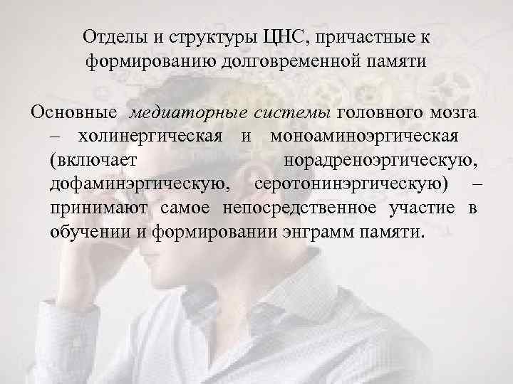 Отделы и структуры ЦНС, причастные к формированию долговременной памяти Основные медиаторные системы головного мозга