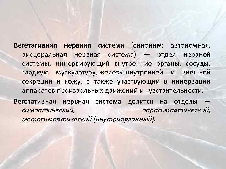 Вегетативная нервная система (синоним: автономная, висцеральная нервная система) — отдел нервной системы, иннервирующий внутренние