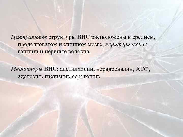 Центральные структуры ВНС расположены в среднем, продолговатом и спинном мозге, периферические – ганглии и