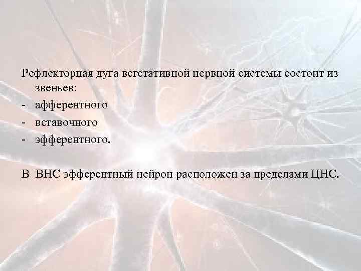 Рефлекторная дуга вегетативной нервной системы состоит из звеньев: - афферентного - вставочного - эфферентного.