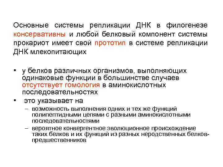 Основные системы репликации ДНК в филогенезе консервативны и любой белковый компонент системы прокариот имеет