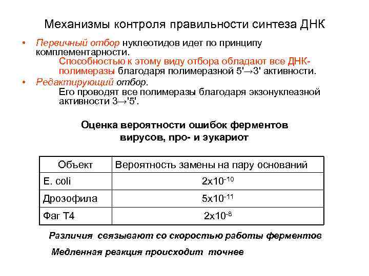 Механизмы контроля правильности синтеза ДНК • • Первичный отбор нуклеотидов идет по принципу комплементарности.