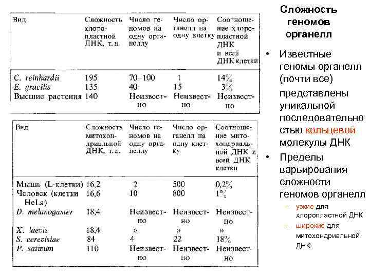 Сложность геномов органелл • Известные геномы органелл (почти все) представлены уникальной последовательно стью кольцевой