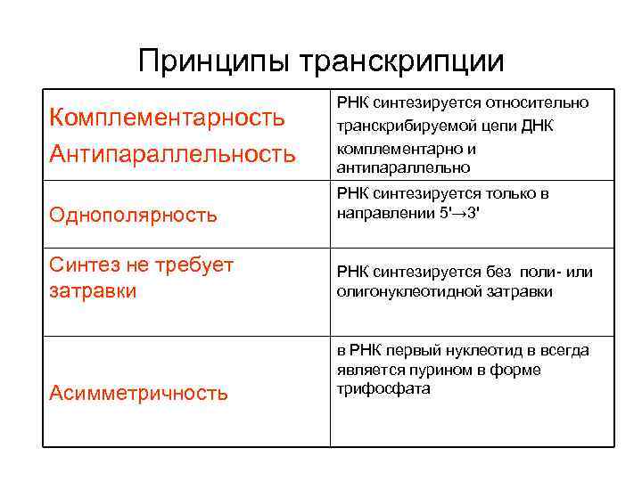 Принципы транскрипции Комплементарность Антипараллельность РНК синтезируется относительно транскрибируемой цепи ДНК комплементарно и антипараллельно Однополярность