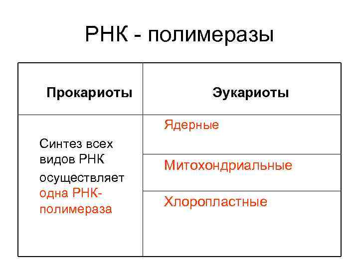 РНК - полимеразы Прокариоты Эукариоты Ядерные Синтез всех видов РНК осуществляет одна РНКполимераза Митохондриальные