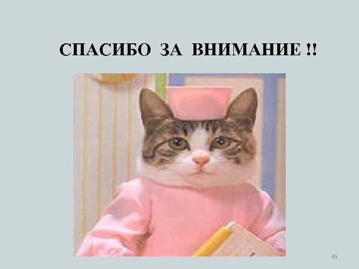 СПАСИБО ЗА ВНИМАНИЕ !! 49 