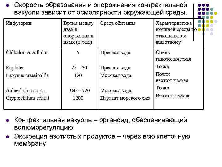 Норма суточной экскреции белка