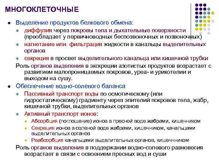 Продукты обмена выделения. Выделение продуктов белкового обмена. Выделение продуктов белкового обмена у человека. Пути выделения конечных продуктов белкового обмена. Обмен веществ выделение покровы тела конспект.