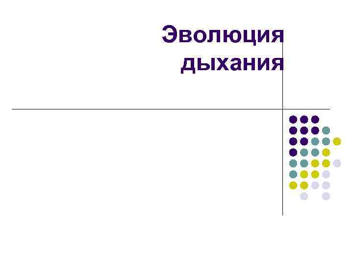 Эволюция дыхания 