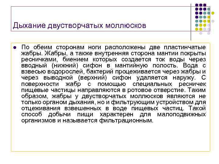 Дыхание двустворчатых моллюсков l По обеим сторонам ноги расположены две пластинчатые жабры. Жабры, а