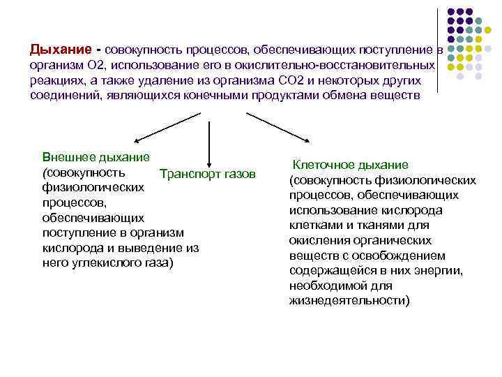 Совокупность взаимосвязанных элементов и процессов проекта представленных с различной степенью