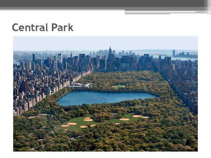 Central Park 