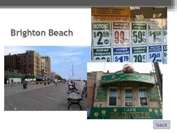 Brighton Beach back 