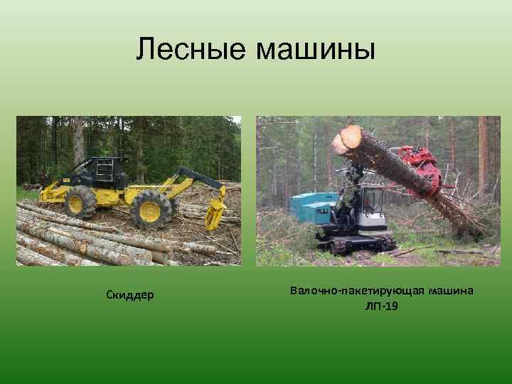 Лесные машины Скиддер Валочно-пакетирующая машина ЛП-19 