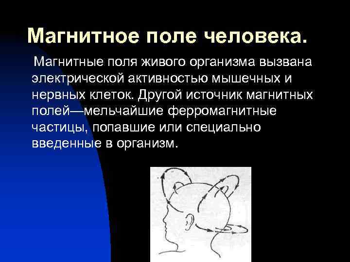 Магнитное поле и живые организмы. Магнитное поле человека. Магнитное поле живых организмов. Электромагнитное поле человека. Магнитное поле в живых организмах сообщение.