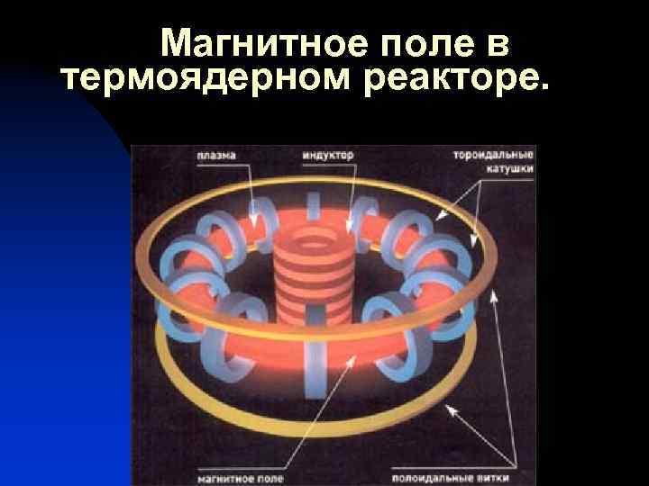  Магнитное поле в термоядерном реакторе. 