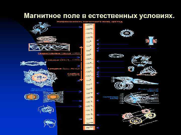 Магнитное поле в естественных условиях. 