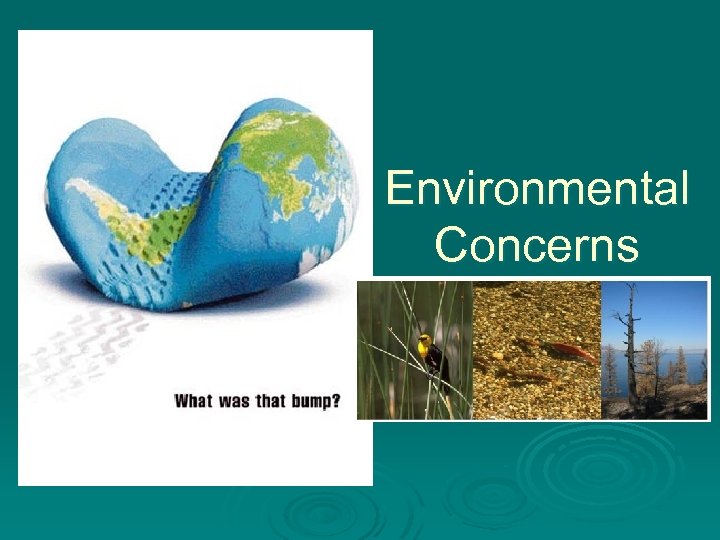 Environmental Concerns 