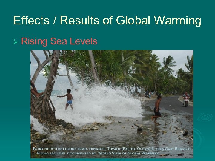 Effects / Results of Global Warming Ø Rising Sea Levels 