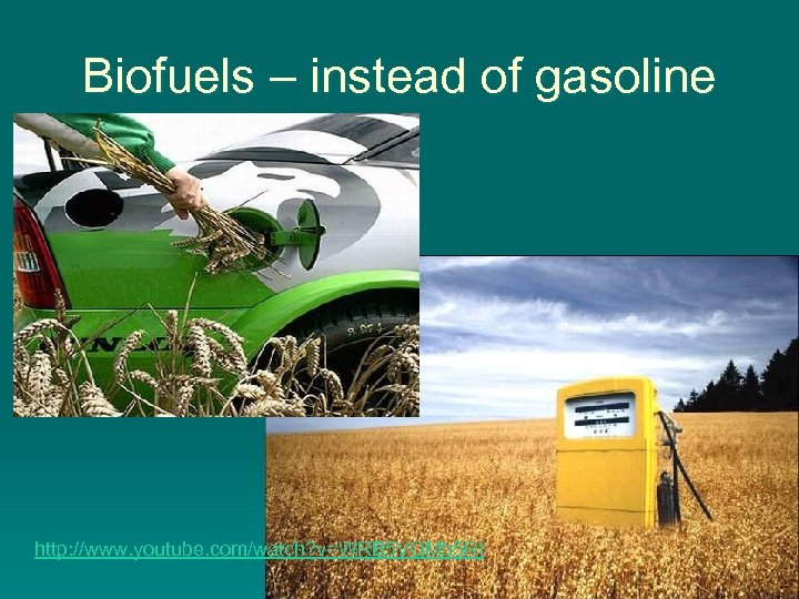 Biofuels – instead of gasoline http: //www. youtube. com/watch? v=WRB 5 VQMb 5 RI